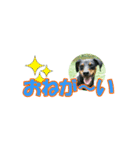 ミニピン 省スペース スタンプ2（個別スタンプ：19）
