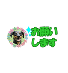 ミニピン 省スペース スタンプ2（個別スタンプ：20）