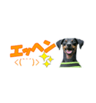 ミニピン 省スペース スタンプ2（個別スタンプ：23）