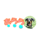 ミニピン 省スペース スタンプ2（個別スタンプ：24）