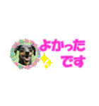 ミニピン 省スペース スタンプ2（個別スタンプ：28）