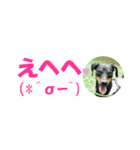 ミニピン 省スペース スタンプ2（個別スタンプ：32）