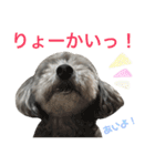 たるぼっち☆2（個別スタンプ：9）
