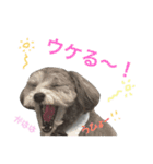 たるぼっち☆2（個別スタンプ：11）