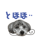 たるぼっち☆2（個別スタンプ：15）