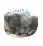 たるぼっち☆2（個別スタンプ：22）