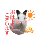 みみとちび（個別スタンプ：4）