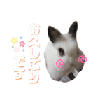 みみとちび（個別スタンプ：7）