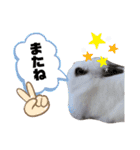 みみとちび（個別スタンプ：14）
