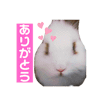 みみとちび（個別スタンプ：15）