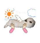 みみとちび（個別スタンプ：17）