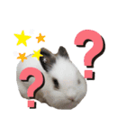みみとちび（個別スタンプ：18）