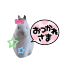 みみとちび（個別スタンプ：20）