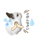 みみとちび（個別スタンプ：23）
