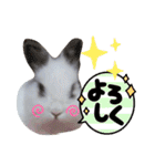 みみとちび（個別スタンプ：24）