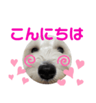 もじゃいずむ（個別スタンプ：2）