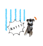 もじゃいずむ（個別スタンプ：4）