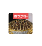 ベルツノガエルのべるさん(基本の挨拶)（個別スタンプ：6）