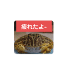 ベルツノガエルのべるさん(基本の挨拶)（個別スタンプ：14）