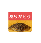 ベルツノガエルのべるさん ありがとう（個別スタンプ：1）