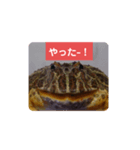 ベルツノガエルのべるさん ありがとう（個別スタンプ：8）