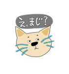 青ひげの猫（個別スタンプ：9）