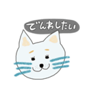 青ひげの猫（個別スタンプ：23）