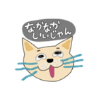 青ひげの猫（個別スタンプ：24）