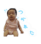 ひよ梨（個別スタンプ：17）