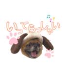 リールさんの日常スタンプ（個別スタンプ：3）