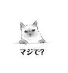 にゃんこスタンプ first！！（個別スタンプ：2）