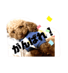 ちょびさんだよ③（個別スタンプ：33）