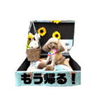 ちょびさんだよ③（個別スタンプ：34）