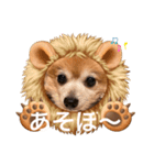 猛犬ばーす（個別スタンプ：2）