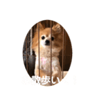 猛犬ばーす（個別スタンプ：11）