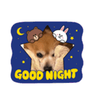 猛犬ばーす（個別スタンプ：13）