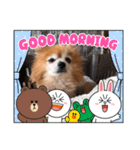猛犬ばーす（個別スタンプ：14）