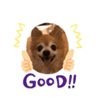 猛犬ばーす（個別スタンプ：17）