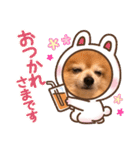 猛犬ばーす（個別スタンプ：18）