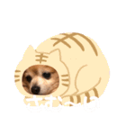 猛犬ばーす（個別スタンプ：20）