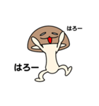 〜だるっこふれんず〜   しいたけ君①（個別スタンプ：1）