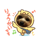 ワンコ 時々陸亀少し金魚①（個別スタンプ：1）