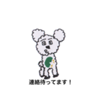 どうぶつ好き（個別スタンプ：13）