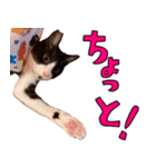 とみぃ＆八 3（個別スタンプ：13）