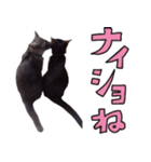 とみぃ＆八 3（個別スタンプ：15）