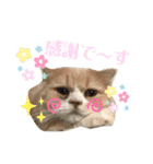 くっくぐり（個別スタンプ：4）