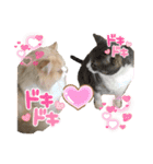 くっくぐり（個別スタンプ：7）