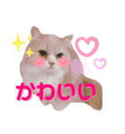 くっくぐり（個別スタンプ：8）