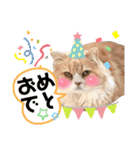 くっくぐり（個別スタンプ：16）
