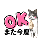 くっくぐり（個別スタンプ：21）
